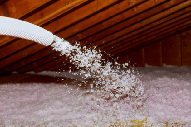 Best Insulation Maintenance and Repair in Stephens City, VA