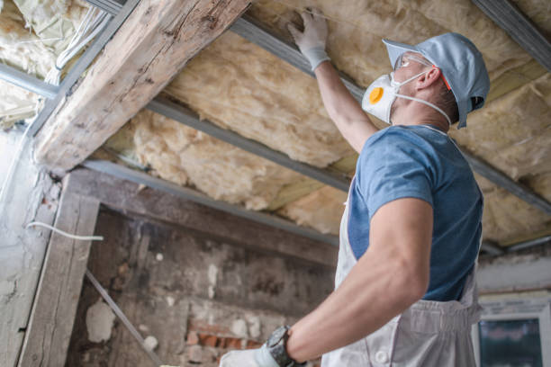 Types of Insulation We Offer in Stephens City, VA