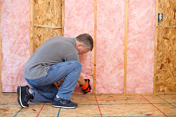 Best Energy Efficiency Insulation in Stephens City, VA