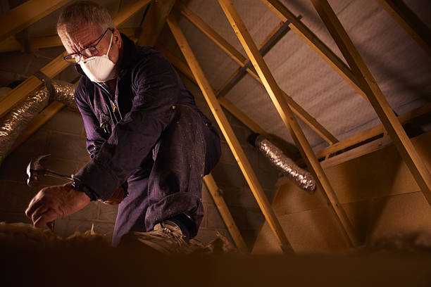 Best Residential Insulation in Stephens City, VA